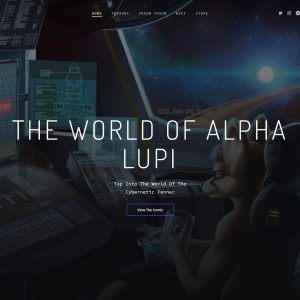 Custom Website (Advanced)